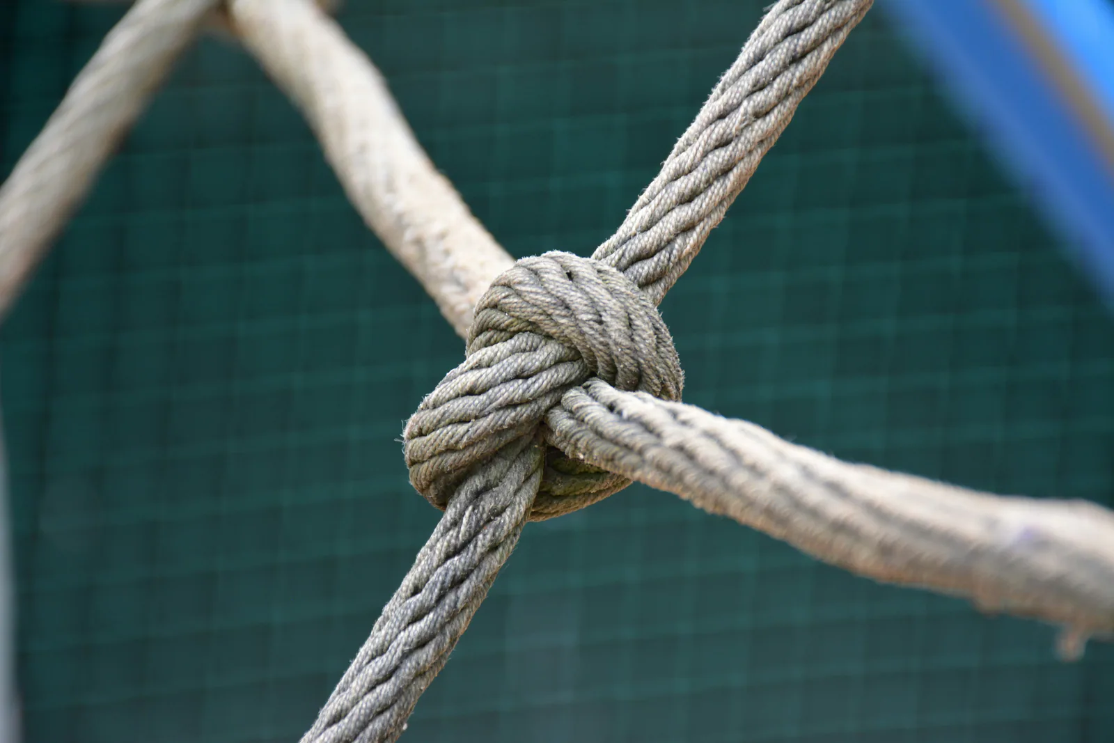 Close-up of a rope knot, representing learning reinforcement and business-outcome alignment.