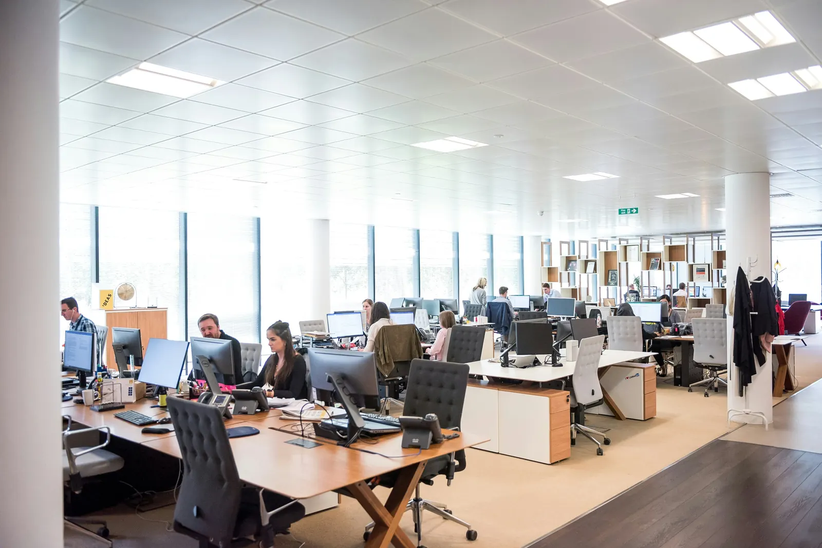 Bright office floor with teams working, representing collaborative capability building.