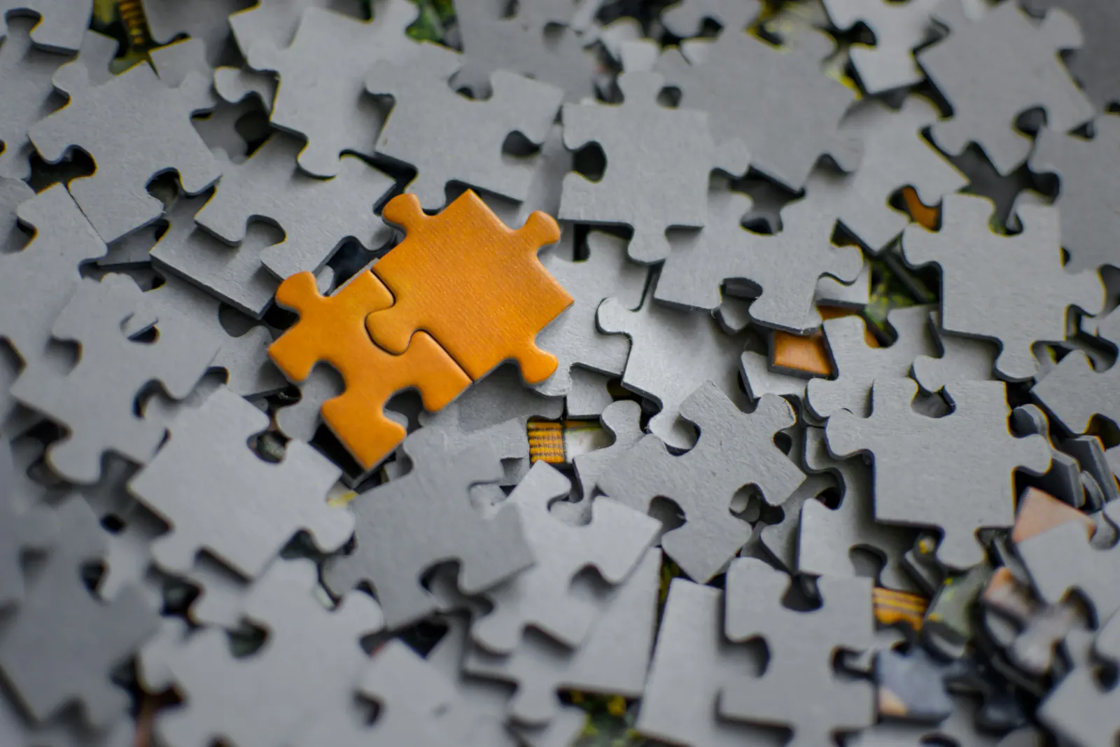 Missing puzzle piece, representing integration gaps and risk visibility.